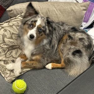 Meet your Posher, Stacy